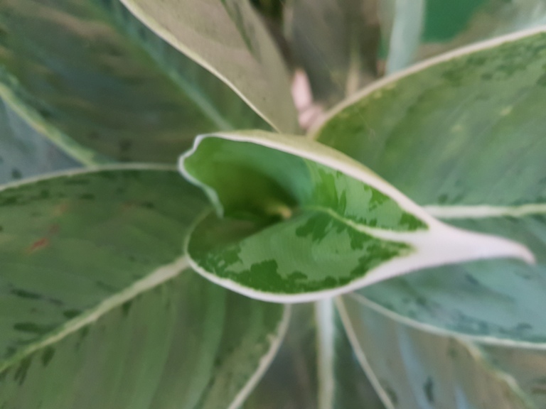 Samsung Galaxy S7 camera samples, galaxy s7 camera review, galaxy s7 photo samples