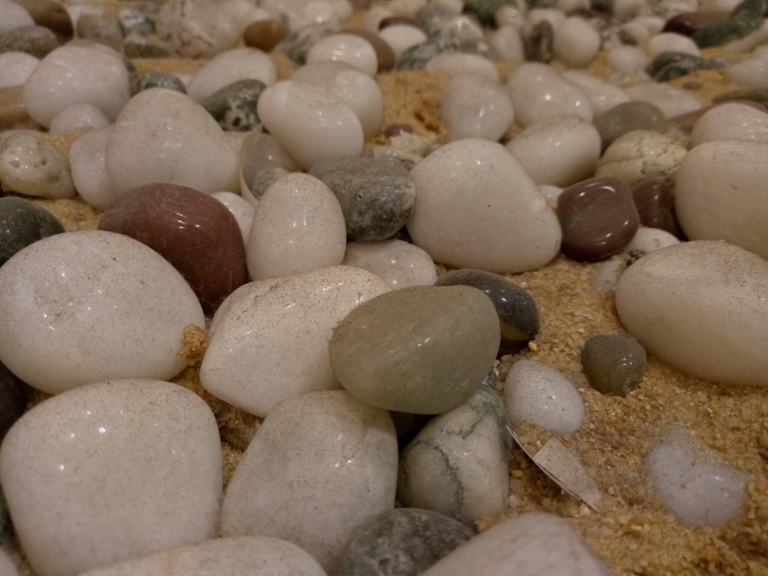 Oppo F1s camera samples, photos shot using oppo mobiles, oppo f1s camera review,