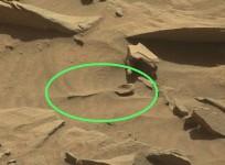 Mars spoon