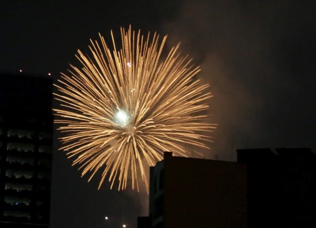 Fireworks explode during a pyrotechnic show to celebrate the new year in Mexico City, Mexico January 1, 2016. New Year