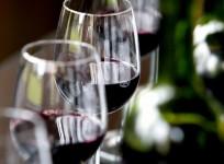 New year 2016: Wine and dine