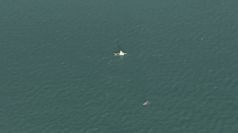Representative image Fisherman of capsized boat reveals ordeal in English Channel