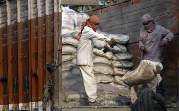 cement sector, cement update, top picks, dalmia cement, MOSL research, shree cement, ramco cement
