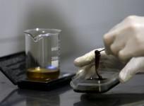 Cannabis, marijuana oil,