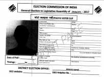 voter slips, voting, election