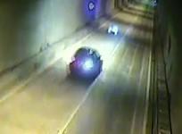Cars swerve to avoid pig stranded in road tunnel