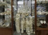 China ivory ban