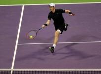 Andy Murray, Novak Djokovic, Qatar Open, final, ATP