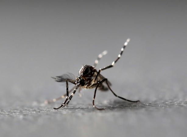 Nuclear-based sterile insect technique (SIT) to control mosquito-borne diseases