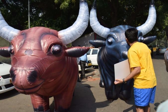 PETA activists stage a demonstration against Jallikattu in New Delhi, on Oct 26, 2016. jallikattu