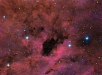 Dark nebula Barnard 343