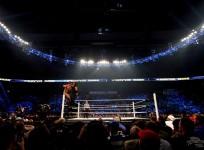 WWE, WWE raw,raw results, Shawn Michaels, The Undertaker