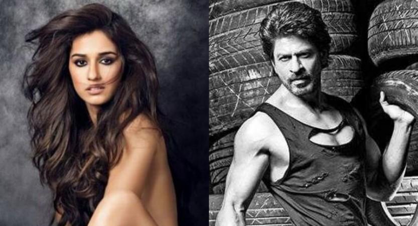 Disha Patani, Shah Rukh Khan Disha Patani, Shah Rukh Khan, Dabboo Ratnani Calendar 2017