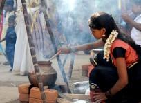 pongal, pongal 2017, thai pongal, pongal date
