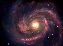 Supernova