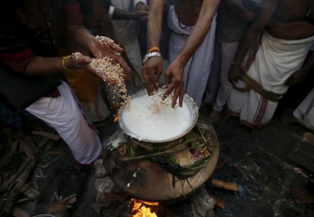 Women preparing Pongal dish for the Pongal festival. pongal, pongal 2017, thai pongal, pongal date, Pongal prepation