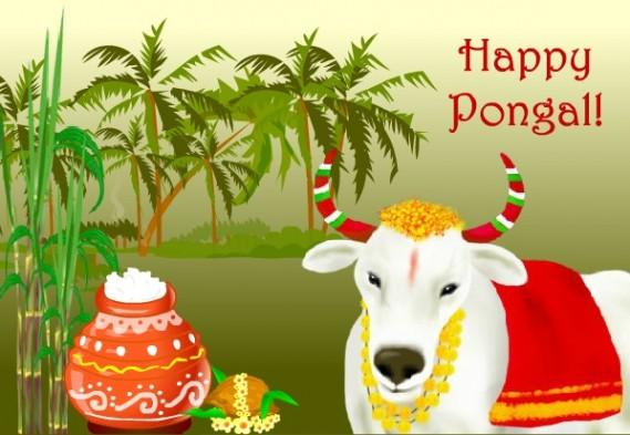 Pongal 2018 Here Are Quotes Smses Picture Greetings And Whatsapp Messages To Wish Tamilians Across The Globe Ibtimes India