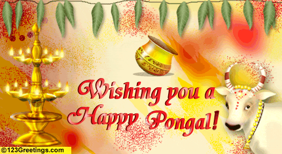Happy Pongal 2017, pongal gif, pongal wishes