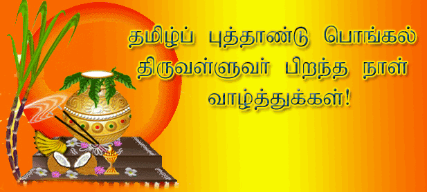 Pongal 2017, pongal wishes, pongal messages, pongal gif