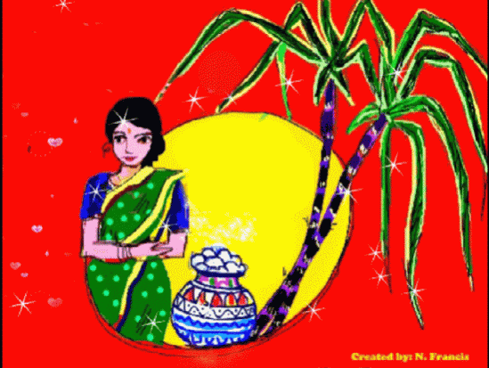 Pongal, also known as Thai Pongal, is a multi-day Hindu harvest festival celebrated across Tamil Nadu Happy Pongal 2017, pongal gif, pongal wishes