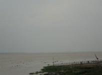 bihar boat tragedy, bihar makar sankranti tragedy