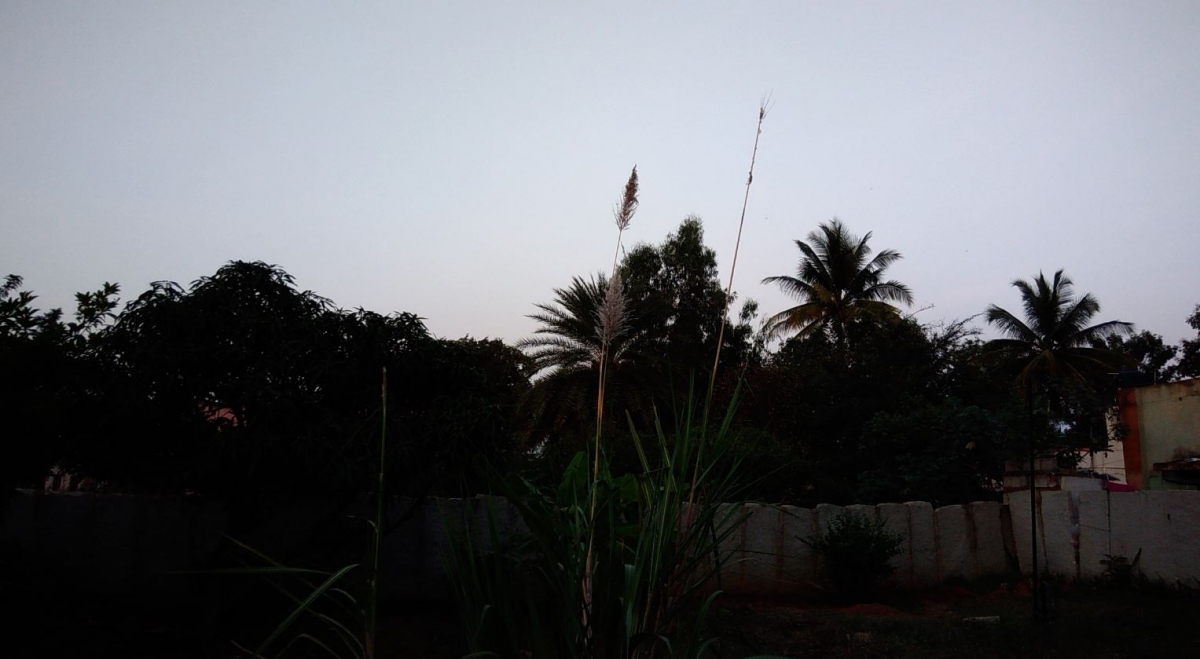 Asus Zenfone 3 Max review: Powerhouse with gorgeous design Asus Zenfone 3 Max review: Powerhouse with gorgeous design