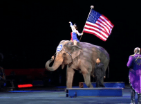 Ringling Bros. circus is packing up after nearly 150 years