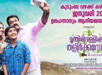 Munthirivallikal Thalirkkumbol, Mohanlal, meena
