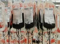blood bags, ambrosia plasma