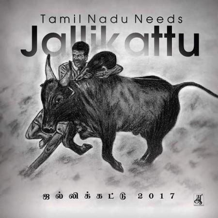 Jallikattu