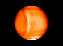 Venus,