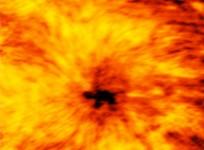 ALMA, sunspot