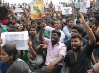 jallikattu ban, jallikattu protest