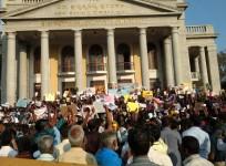 Jallikattu