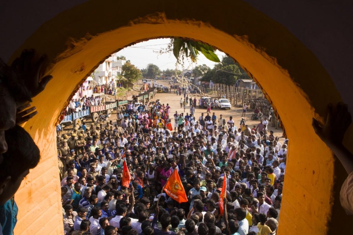 Protesters gather against the Jallikattu ban in 2016 Jallikattu protests, Jallikattu ban
