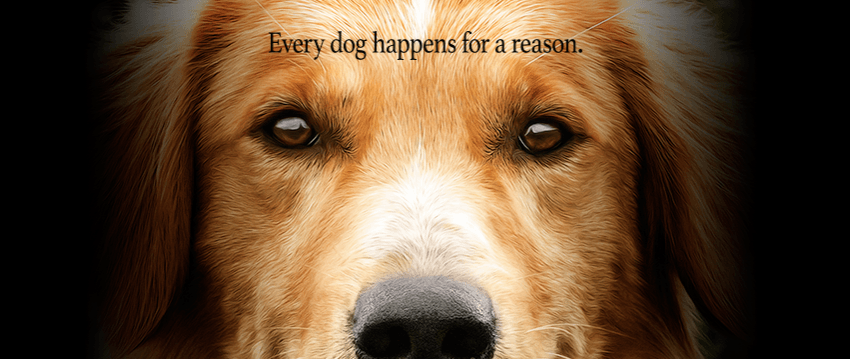 A dog's purpose