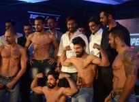 mixed martial arts, mma india