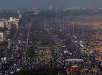 Jallikattu