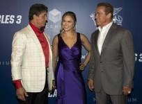ronda rousey, ufc, ufc 207, wwe