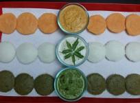 Republic Day, parade, tricolor
