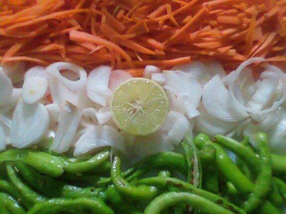 Republic Day, tricolour