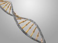 DNA, RNA, Genetic code, Base pairs, genome, cells