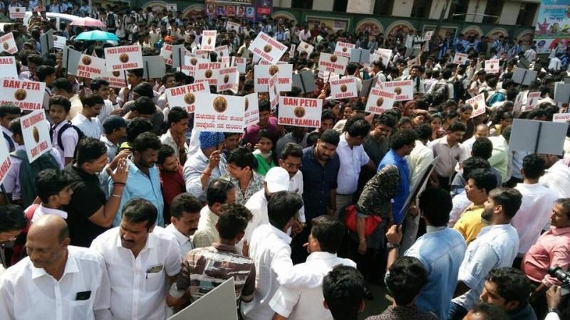 Kambala protests