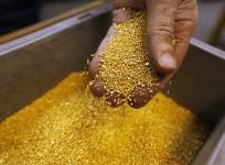 weird news, gold bars, gold prices, golds jewellery, gold weapons, gold car, gold dragon, gold reserves, gold lingerie