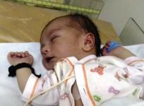 Infant