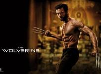wolverine