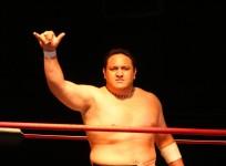 samoa joe, wwe