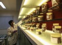 Piramal Enterprises