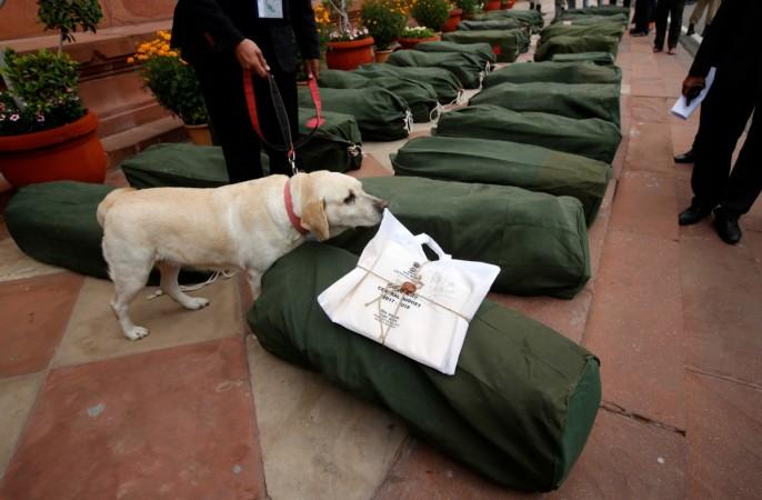A sniffer dog checks bags containing budget papers in New Delhi
