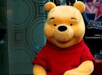 Winnie The Pooh